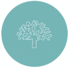 cropped logo cirem.png